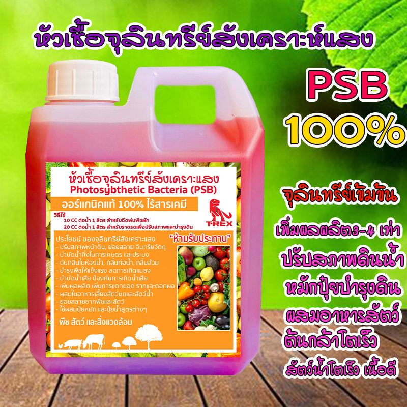 จุลินทรีย์ PSB สังเคราะห์แสง สูตรเข้มข้น บำรุงต้น ผล ใบ ใส่บ่อปลา บำบัดน้ำเสีย ขยายต่อเชื้อได้