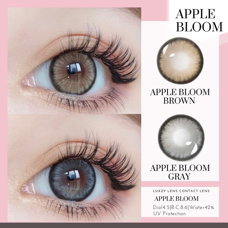 🔥คอนแทคเลนส์❤️Size : M❤️รุ่น Apple Boom (Luxzylens) สี : Brown  / Gray