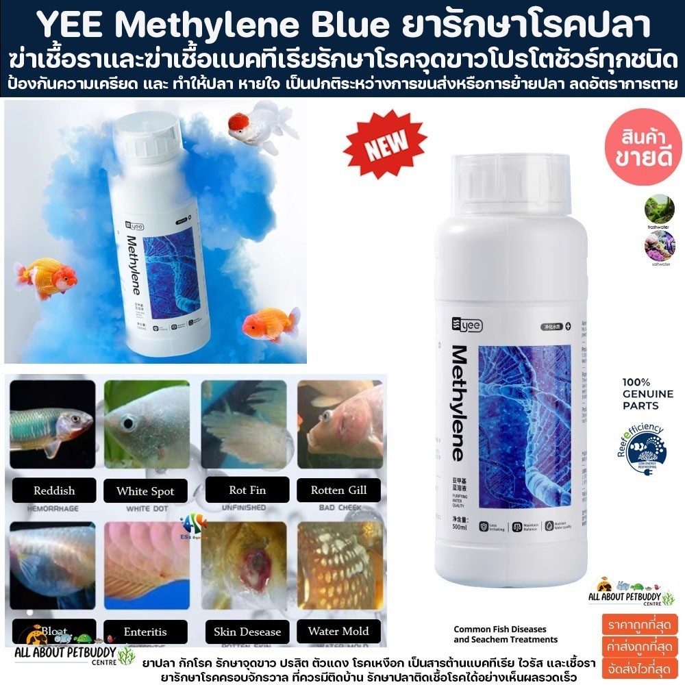 Yee Methylene Blue - Essential Aquarium Water Treatment for Fungal and Bacterial Infections 300 ml. ปลาสวยงาม ตู้ปลา