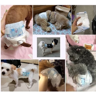 สำหรับสุนัขและแมว มี 6 ขนาด ผ้าอ้อมน้องหมา ผ้าอ้อมสุนัข เพศเม YTL ผ้าอ้อมสุนัขเพศผู้ โอบิ ผ้าอ้อมสุนัขเพศชาย ผ้าอ้อม