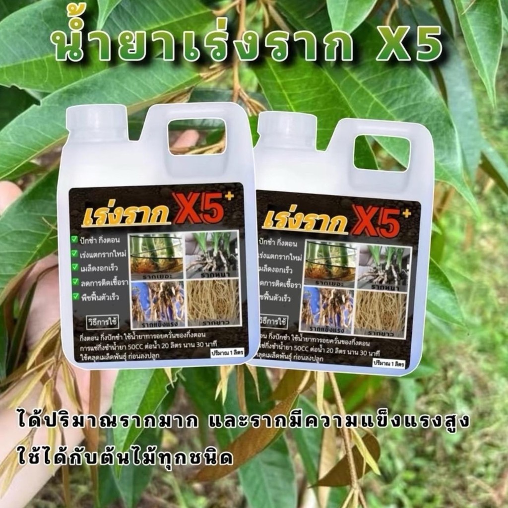 น้ำยาเร่งรากทุเรียน ตะกร้า 1 ลิตร แถม 1 ลิตร แรกรากไว กินปุ๋ยได้ดี ร่มกันฝนต้นยาง ปุ๋ย อินทรีย์