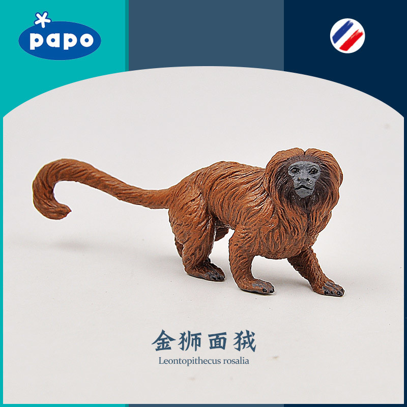 ฝรั่งเศสปาโปโกลเด้นสิงโตก๋วยเตี๋ยว50227ลิงทองหยิกหางลิงจําลองสัตว์ป่าของเล่นรุ่น