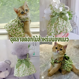 ชุดลายดอกไม้สำหรับน้องแมว เสื้อผ้าสัตว์เลี้ยง ลายดอกไม้น่ารั…