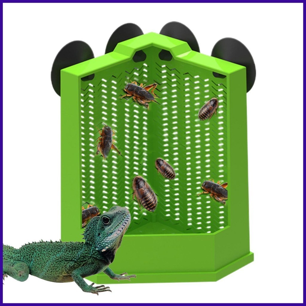Gecko ชามอาหารสัตว์เลื้อยคลานจานสัตว์เลื้อยคลาน Feeder ดูดถ้วย Gecko จานอาหารสัตว์เลื้อยคลานชาม Terr