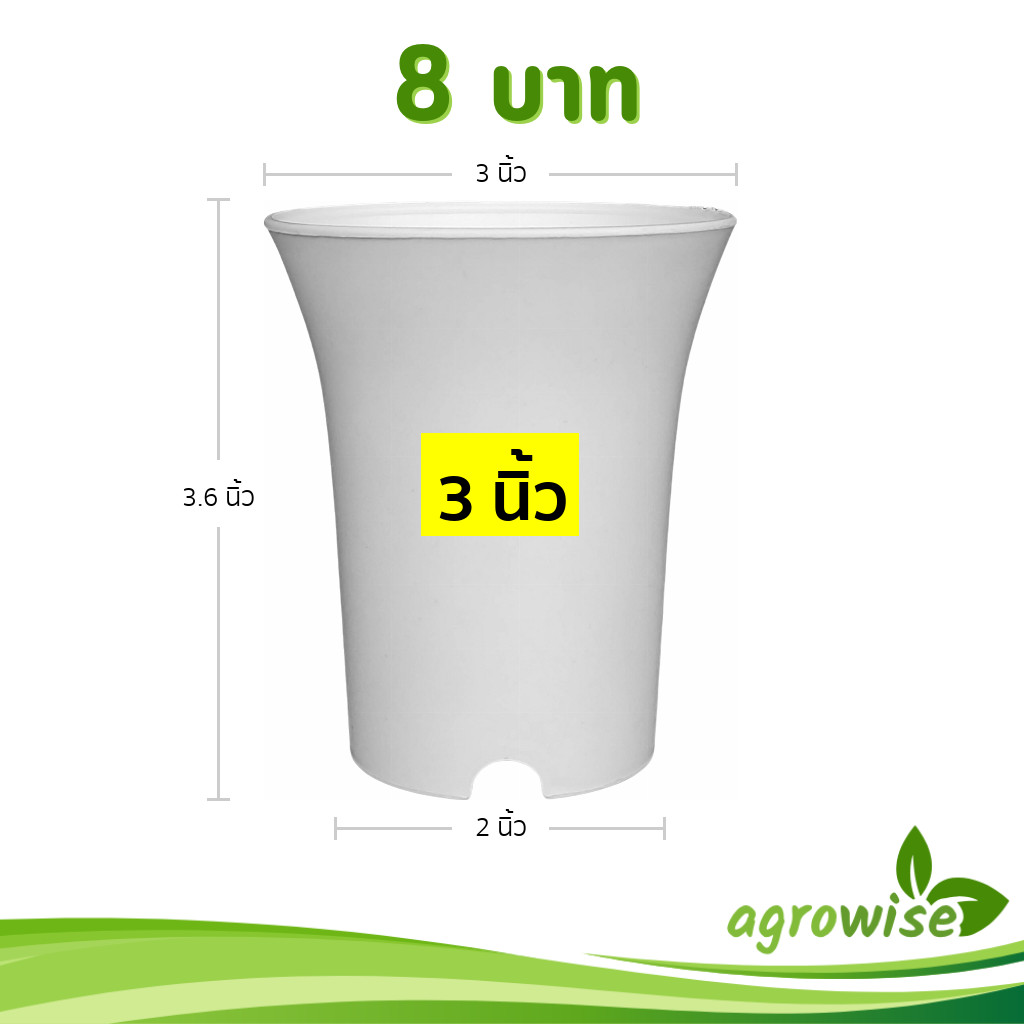 กระถาง กระถางแคคตัส กระถางปากแตร 3 นิ้ว สีขาว สีดำ สีเทา สีอิฐ Bundle 50 ใบ