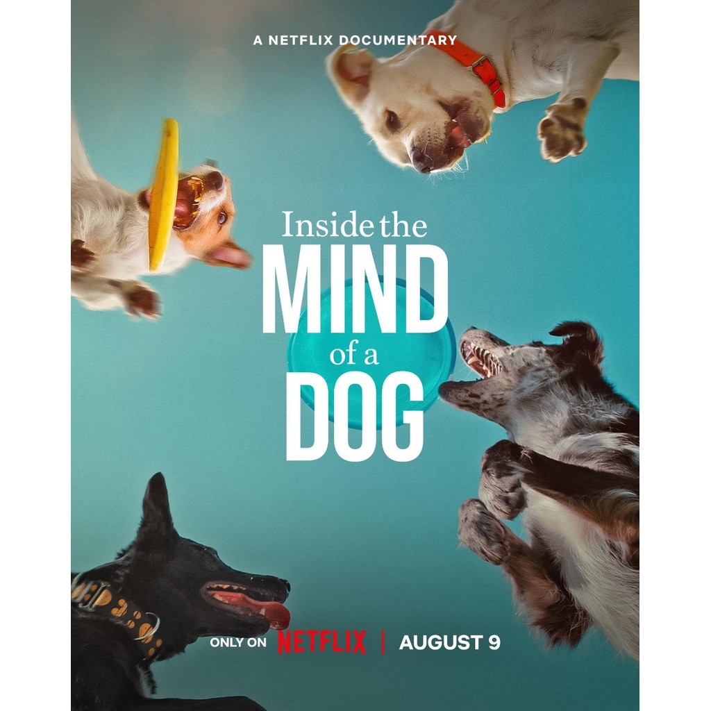 Inside the Mind of a Dog อ่านใจสุนัข (2024) DVD หนังใหม่ มาสเตอร์ พากย์ไทย