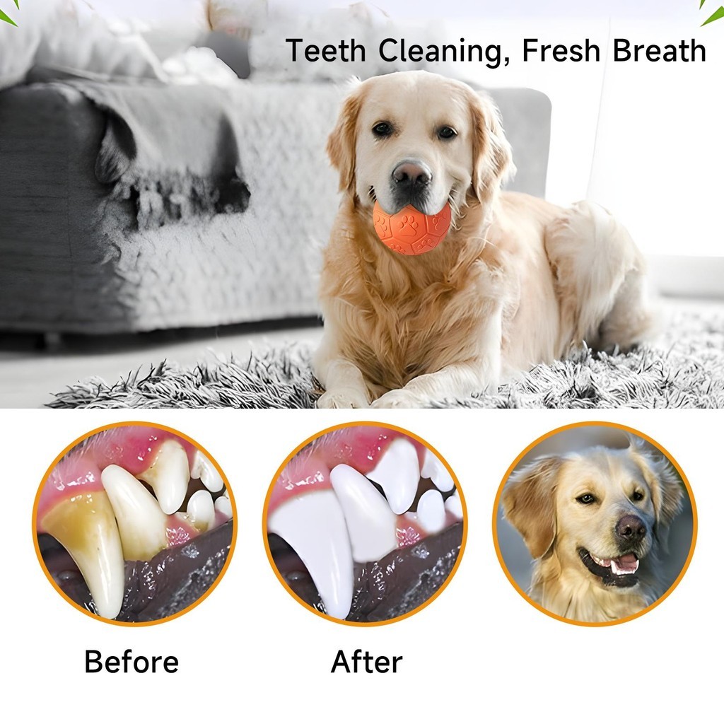 MOMOVIDA Football (DT-15) (DT-15L) ฟุตบอล ลูกบอลสุนัข ลูกบอลฝึกสุนัข ลูกบอลมีเสียงสำหรับสุนัข