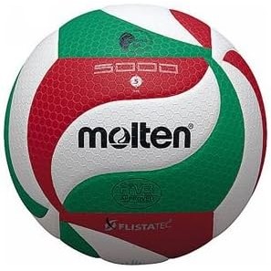Volleyball No. 5 Ball V5M5000【Direct from Japan】