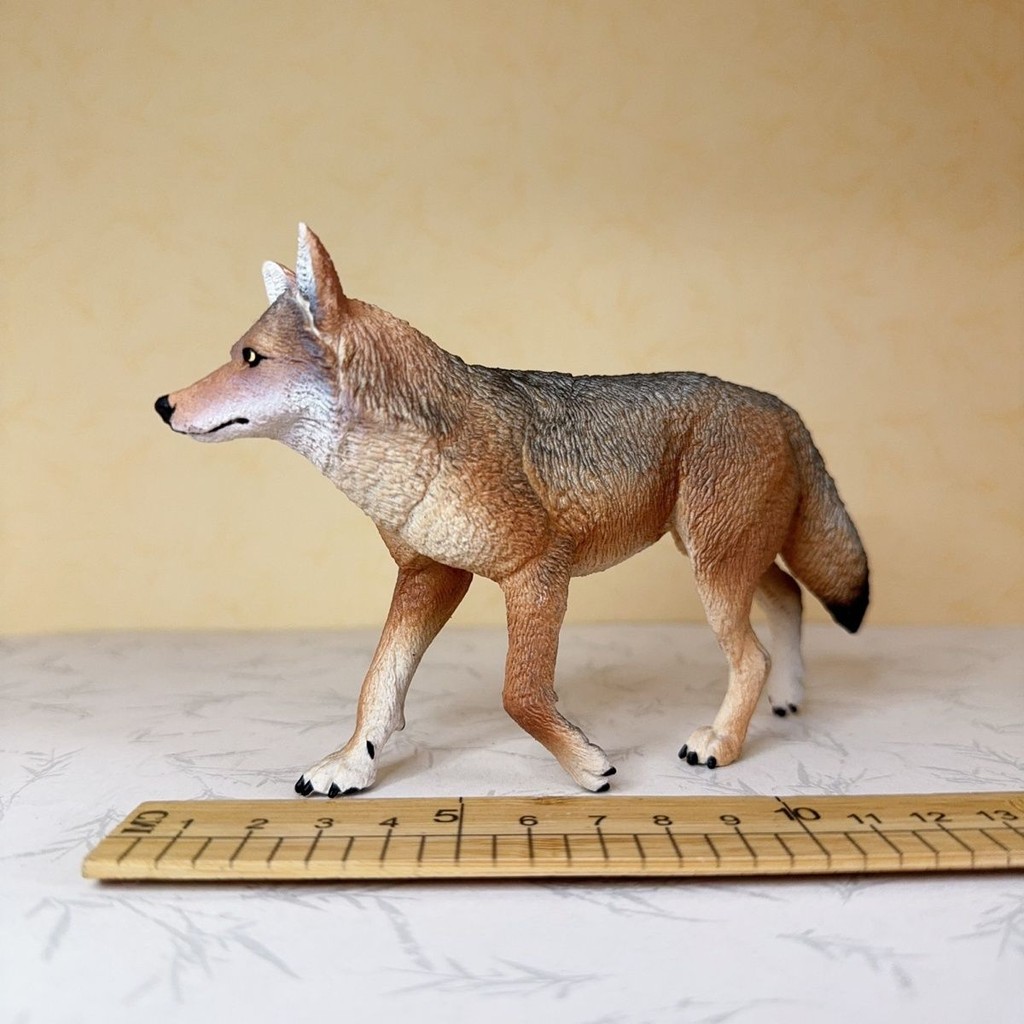 Safari ของแท้จําลองสัตว์ Miracle Hollow ขนาดใหญ่ Coyote Jackal Coyote ของเล่นเด็กของขวัญ