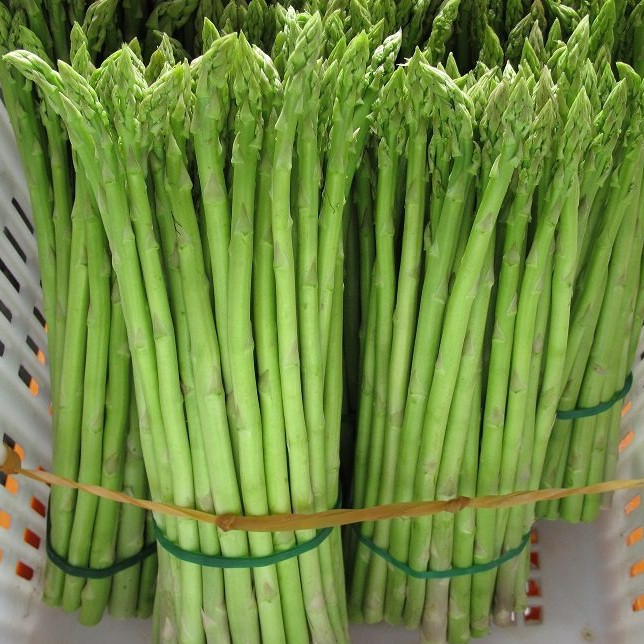 หน่อไม้ฝรั่ง เมล็ดพันธุ์ 9-20 เมล็ด มีคู่มือปลูก อัตรางอกสูง ปลูกง่าย ใช้พื้นที่ไม่มาก ทนร้อนและแห้งแล้ง (ซื้อ10แถม1)