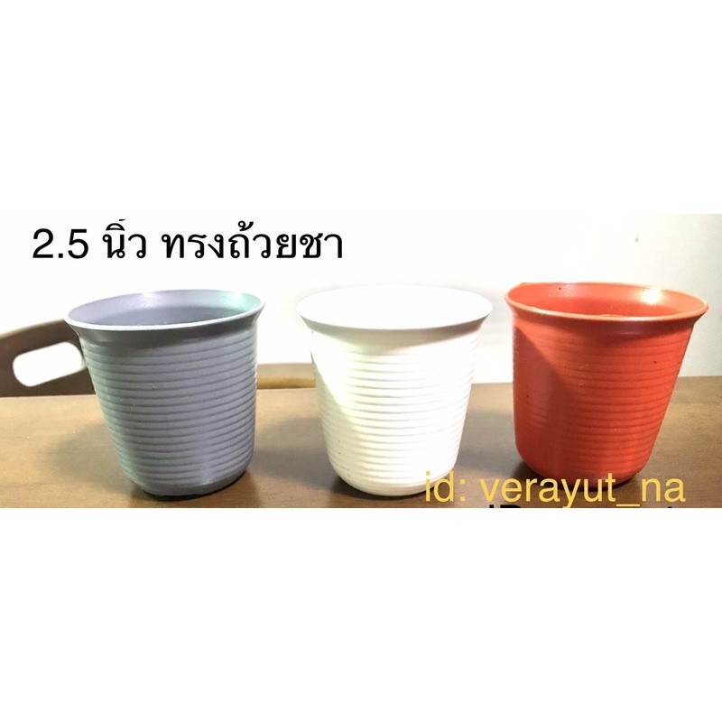 กระถาง 2.5 นิ้ว 3นิ้ว ทรงถ้วยจีน ชุด50ใบ และ 100 ใบ สีขาว เทา อิฐ ดำ
