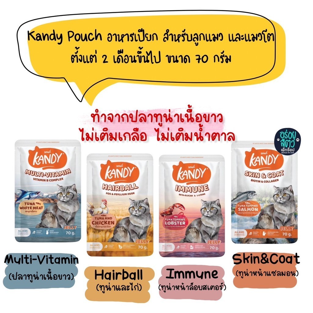 (ยกลัง 48 ซอง) Kandy อาหารเปียกแมว สำหรับลูกแมว และแมวโต ตั้งแต่ 2 เดือนขึ้นไป ขนาด 70 กรัม
