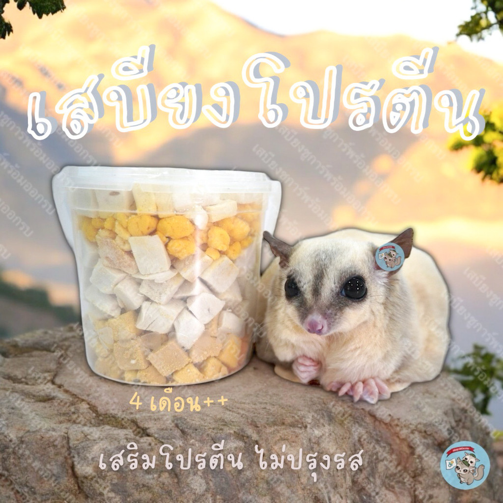( เสบียงโปรตีน ​) ถังเล็ก เต้าหู้อบแห้ง​ อกไก่อบแห้ง​ ชีส​อบแห้ง​ ชีสนมแพะ​ นมแพะอัดเม็ด​ ขนม​ชูการ์​  ขนมแฮมสเตอร์​