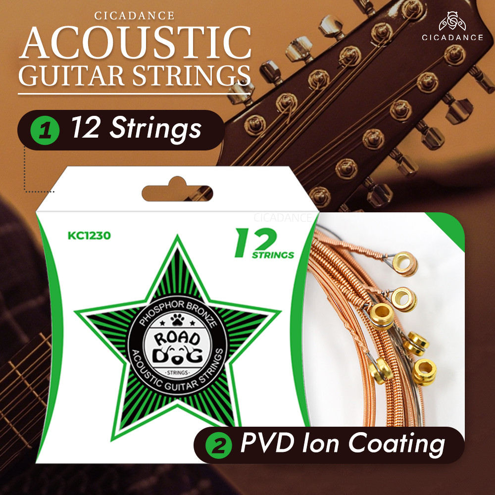 ROAD DOG ชุดสายกีตาร์อะคูสติก 12 สาย แกนลวดหกเหลี่ยมคาร์บอนสูง เสียงใส เคลือบไอออน PVD สายกันสนิม