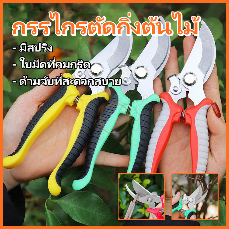กรรไกรตัดกิ่งไม้ กรรไกรแต่งกิ่งปากโค้ง กรรไกรทำสวน มีหลายสีให้เลือก กรรไกรตัดกิ่ง แบบสเตนเลส
