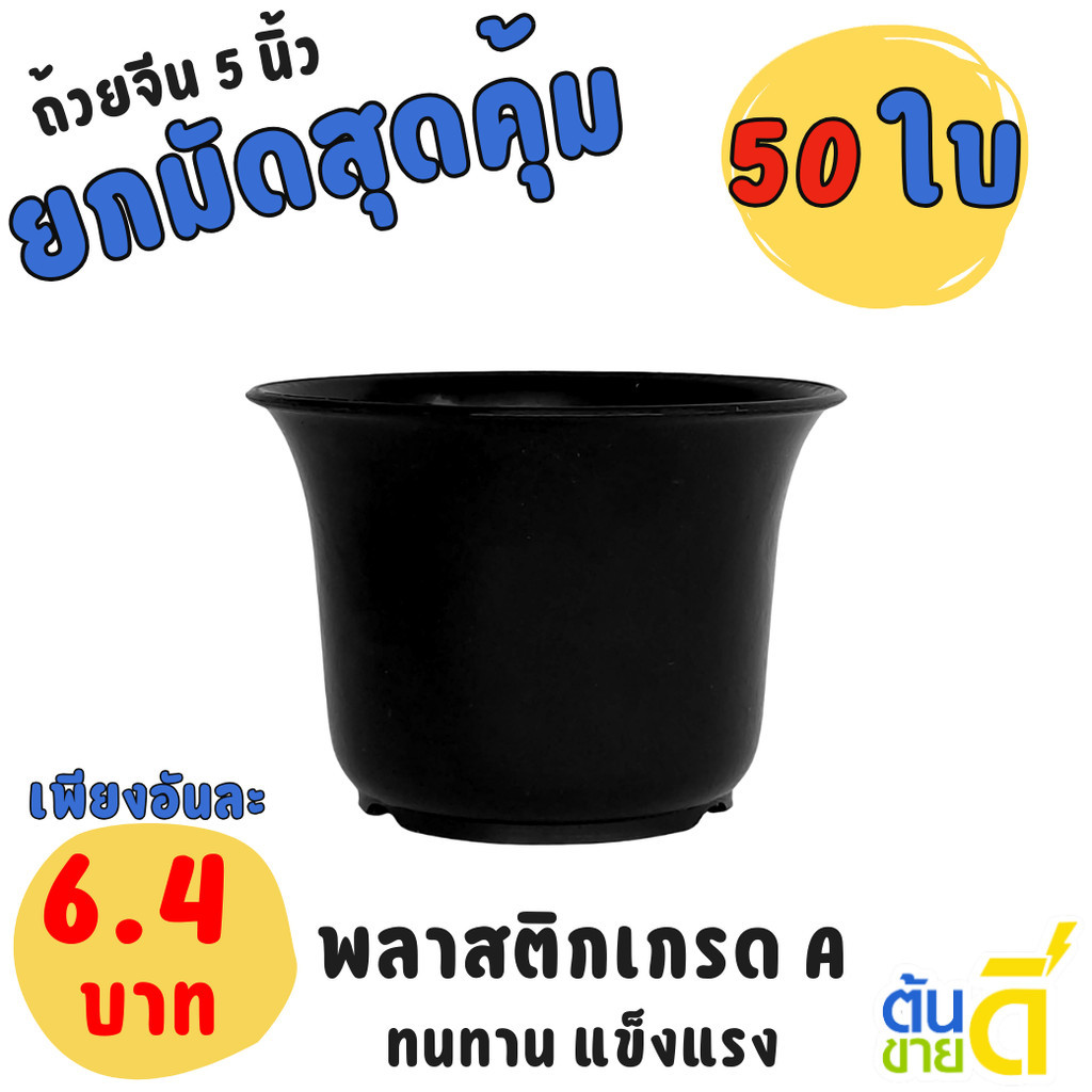 กระถาง กระถางแคคตัส ถ้วยจีน 5 นิ้ว สีดำ Bundle 50 ใบ