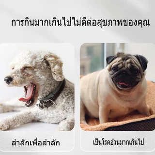 ชามซิลิโคนชะลอการกิน ชามอาหารหมา ชามช่วยลดการสำลัก สําหรับฝึกสัตว์เลี้ยง แผ่นเลียสัตว์เลี้ยง