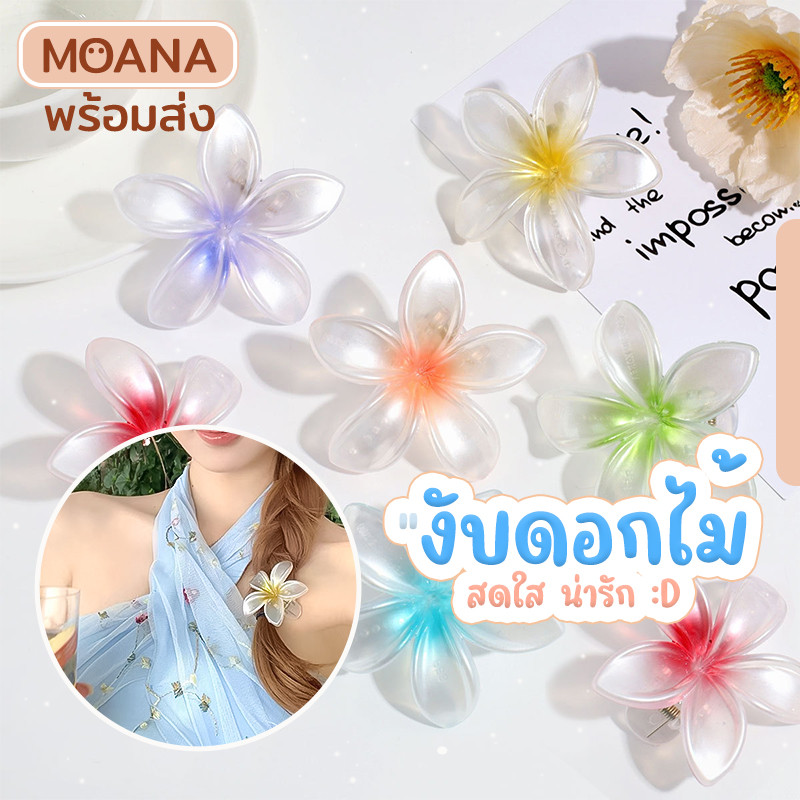 พร้อมส่ง : กิ๊บ งับ 8 ซ.ม. ดอกไม้ ประกายมุก หลายสี สดใส ไปทะเล หนีบผม ดังโง๊ะ เกล้าผม เกาหลี
