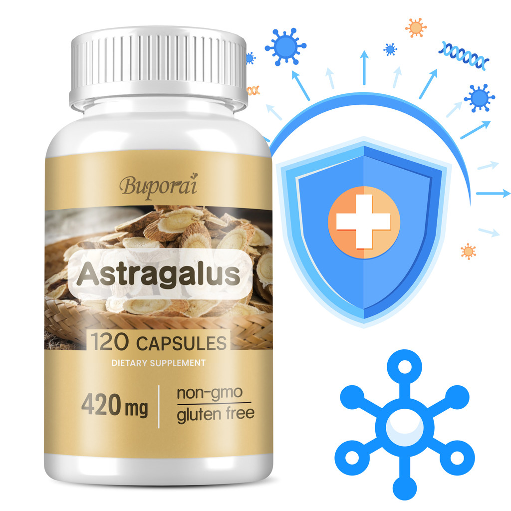 Bulporai Astragalus Root 10:1 Extract 420mg, เทียบเท่า 4200mg Astragalus Root, สารต้านอนุมูลอิสระ, รองรับภูมิคุ้มกันสุขภาพ