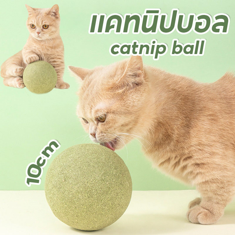 พร้อมส่ง😻10CM แคทนิปบอล กัญชาแมว ของเล่นแมวเลีย catnip ball