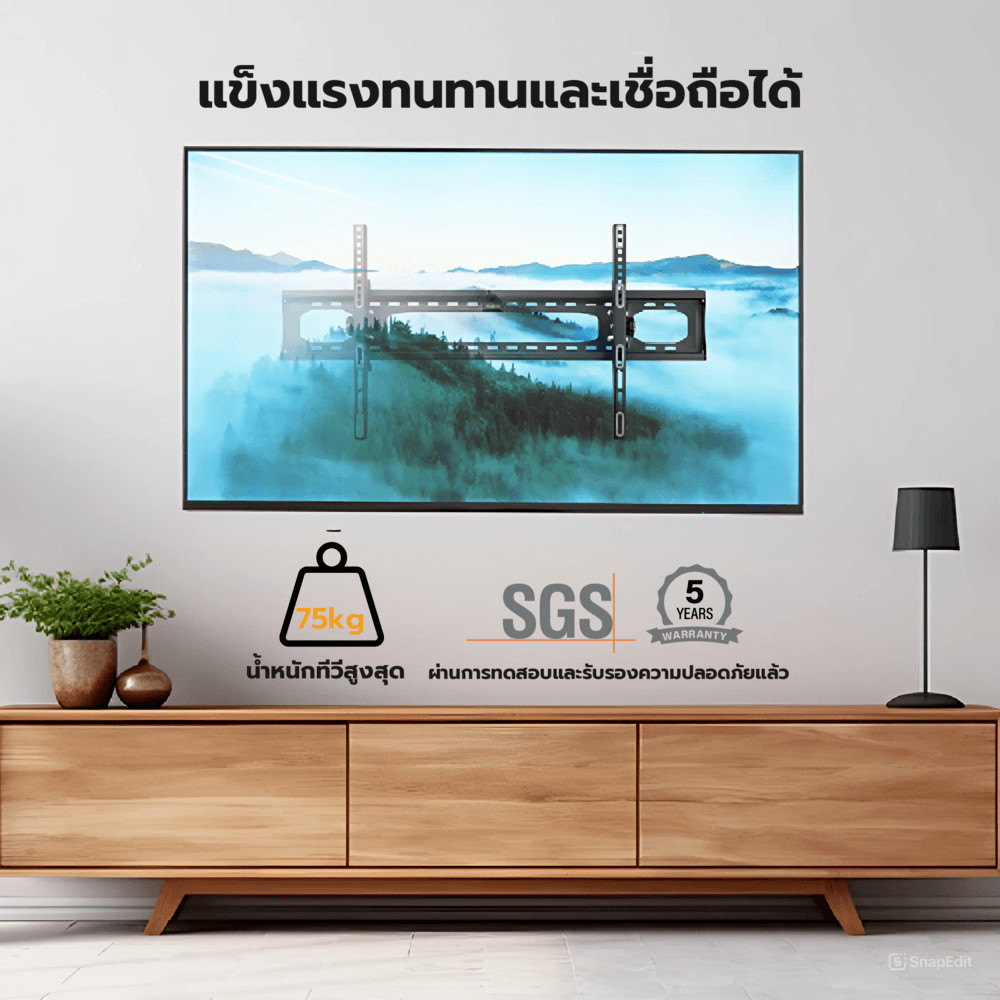 LOCAL789 ROSS ขาแขวนทีวีติดผนัง 75นิ้ว-110นิ้ว หนา1.5มม. BN8F/HS สีดำ ร้านอยู่ในไทย