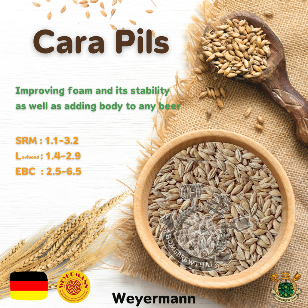 Cara Pils malt Carapils (Weyermann) (1 lbs)
