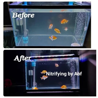 Nitrifying Bacteria แบคทีเรียบำบัดน้ำ กำจัด แอมโมเนีย ไนไตรท์ แบบซอง 50 ml.