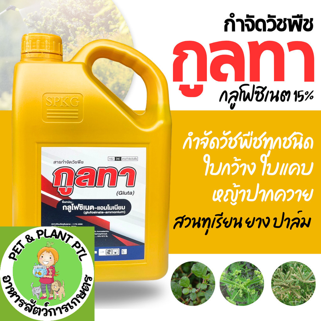 [1แกลลอน][ทองพรีเมียม] กูลทา Gluta กลูโฟซิเนต-แอมโมเนียม 15% - ขนาด 4 ลิตร -  สินค้าผลิตใหม่ ของแท้แน่นอน