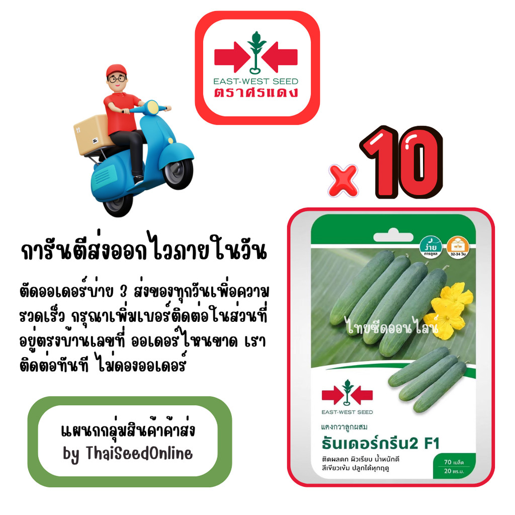 GG x 10 เมล็ดผักซองศรแดง ธันเดอร์กรีน2 แตงกวา สินค้ายกแพ็ค ราคาถูก Shopee Lazada