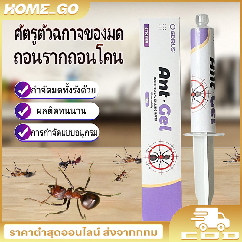 Antiant เจลกำจัดมด แอนติแอนท์ เหยื่อกำจัดมด เจลล่อมด หยดเดียวตายยกรัง 30g/20g เพิ่มปริมานขึ้น