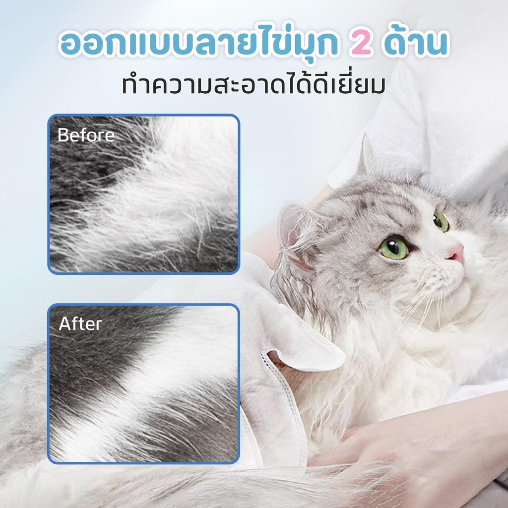 รูปภาพ 6