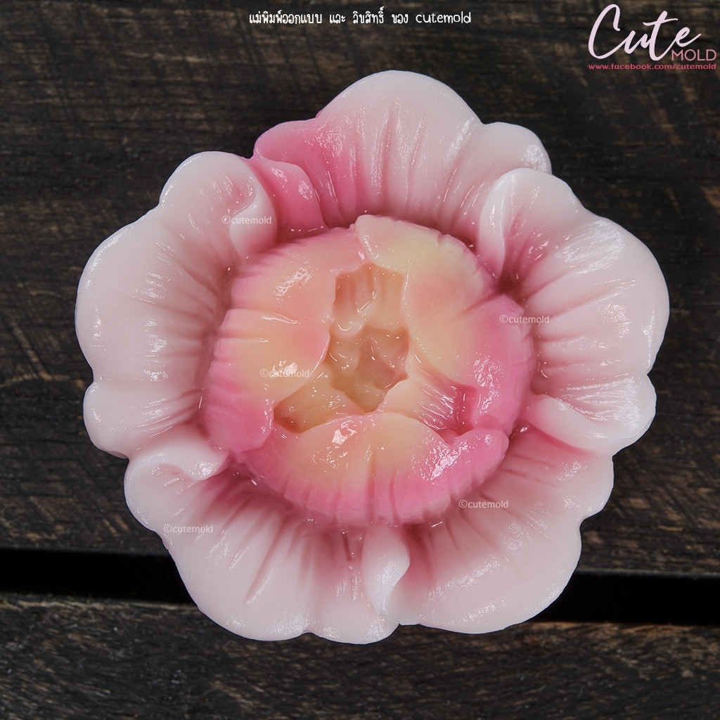 มีสินค้า/ แม่พิมพ์ อาลัว สัมปันนี วุ้น แม่พิมพ์ฟองดอง ดาวเรือง ชบา พุดตาน x27 x29 x31 x32 x35 x36 x25 x33 x34 (เลือกแบบ) - รูปที่ 3