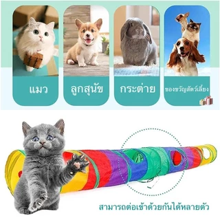 อุโมงค์แมว ของเล่นสัตว์เลี้ยงที่สามารถพับได้ ของเล่นสัตว์เลี้ยง อุโมงค์สายรุ้ง ของเล่นสัตว์เลี้ยง อุโมงแมว