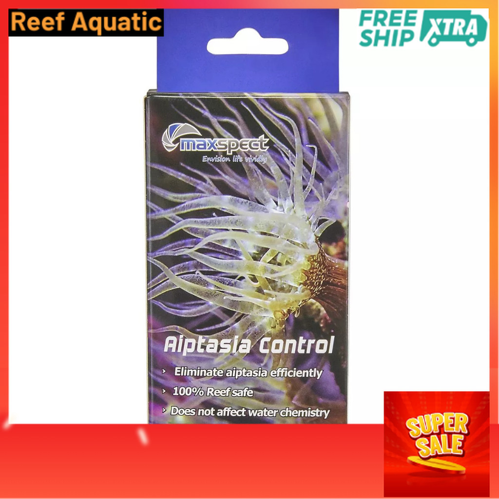 Maxspect Aipastasia Control ดอกไม้ทะเลตีนห่านสําหรับตู้ปลาทะเล