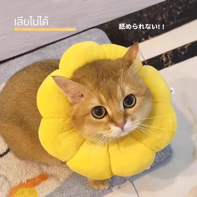 ปลอกคอแมว ปลอกคอเอลิซาเบธ สุนัข ป้องกันเลีย ดอกทานตะวัน อลิซาเบธ ปลอกคอ อัปยศ ผลิตภัณฑ์ทําหมัน