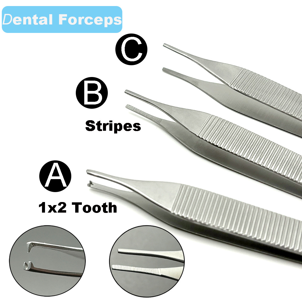 ทันตกรรมเนื้อเยื่อปากคีบทันตกรรม Forcep สกัด Hemostat 1*2 Tweezer Home Organization Forceps Dressing Forceps