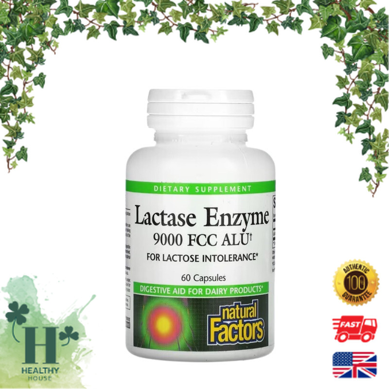 พร้อมส่ง Natural Factors Lactase Enzyme 9,000 FCC ALU 60 Capsules เอนไซม์ย่อยนม ย่อยเวย์โปรตีน