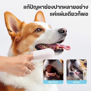 【PET RECORD】🔥 ผ้าเช็ดสัตว์เลี้ยง 3in1 เช็ดปาก ตา หู สูตรอ่อนโยน ลดกลิ่น คราบน้ำตา ปลอดภัย