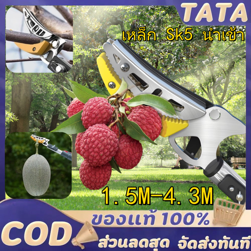 【เหล็ก sk5 นำเข้า】กรรไกรตัดกิ่ง ยืดไสลด์ 2.3M-4M อุปกรณ์ตัดแต่งกิ่งมืออาชีพ กรรไกรตัดกิ่งด้ามยาว กรรไกรตัดกิ่งไม้