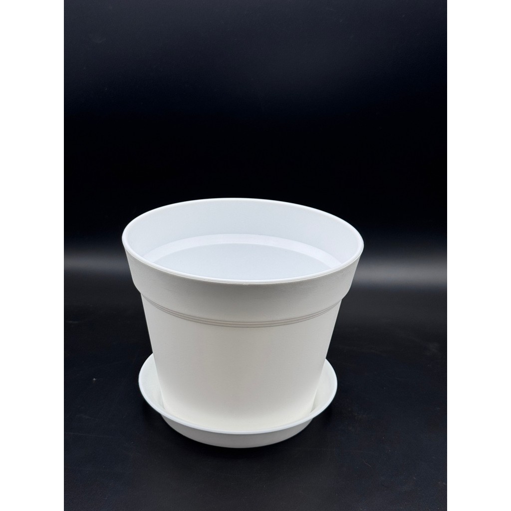 มุมมอง 5