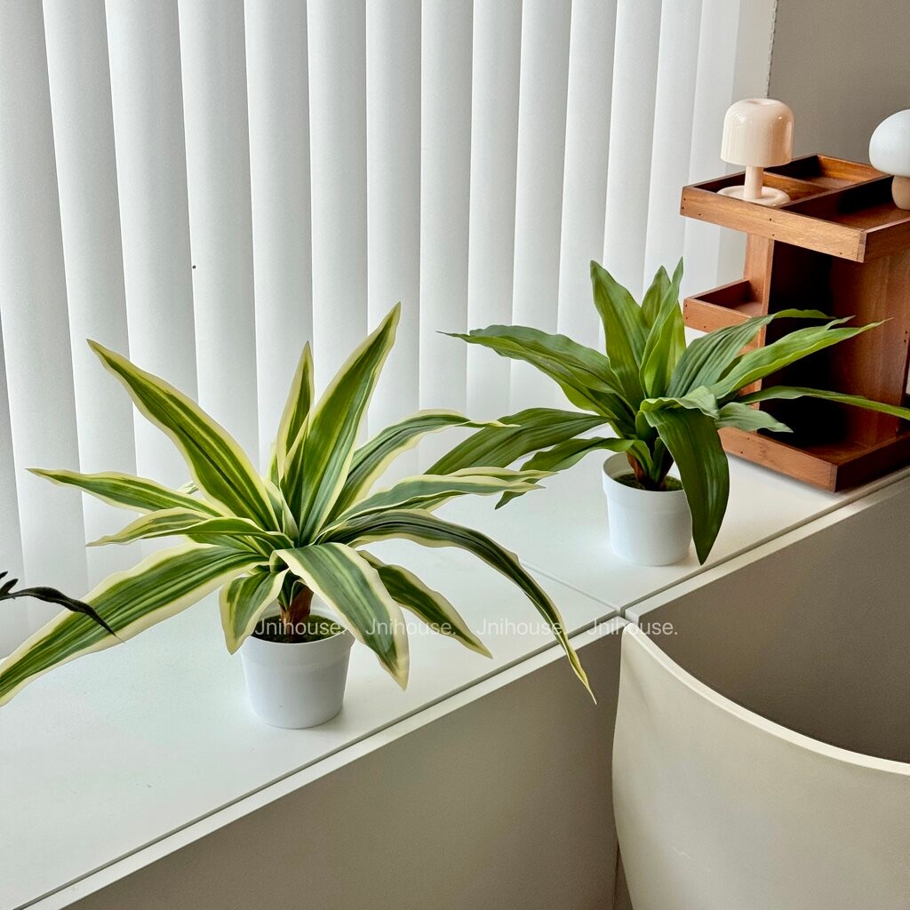 [พร้อมส่ง] Jnihouse : ต้นวาสนา ต้นไม้ประดิษฐ์ (Tree)