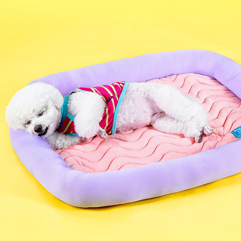 CheesePet เบาะสัตว์เลี้ยงแบบเย็นสบาย เตียงแมว เตียงสุนัขขนาดเล็ก ใช้งานได้ทุกฤดู ราคา ถูกที่สุด ดีลบีเคเค แกลเลอรีภาพที่ 5