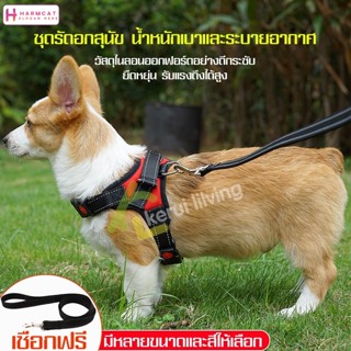 Harmcat เชือกจูงหมาเดินเล่น สายจูงสุนัข สายจูงสัตว์เลี้ยง แข…