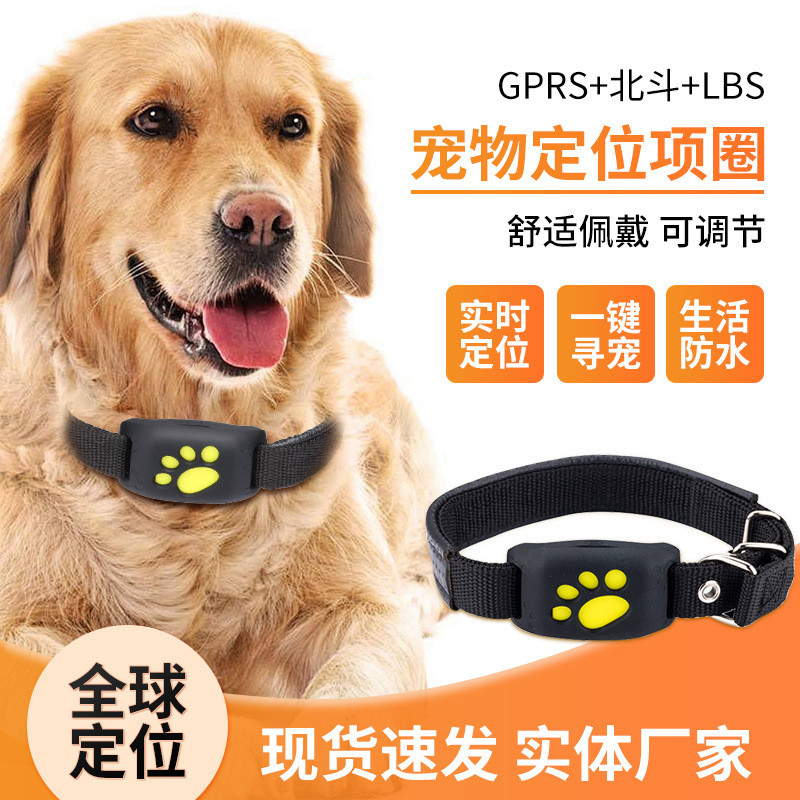 อุปทานพิเศษข้ามพรมแดน GPS Pet Locator Cat Cat Dog Location Handy Tool Location Global Tracking Locat