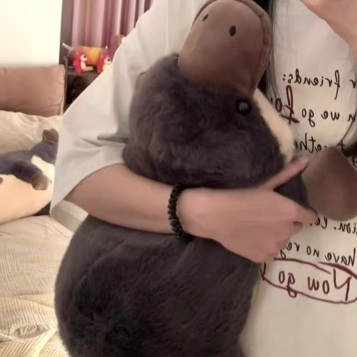 Platypus Plush ของเล่นตุ๊กตาตุ๊กตาจําลอง Ragdoll เตียงเด็กน่ารัก Comforting ตุ๊กตาของขวัญ
