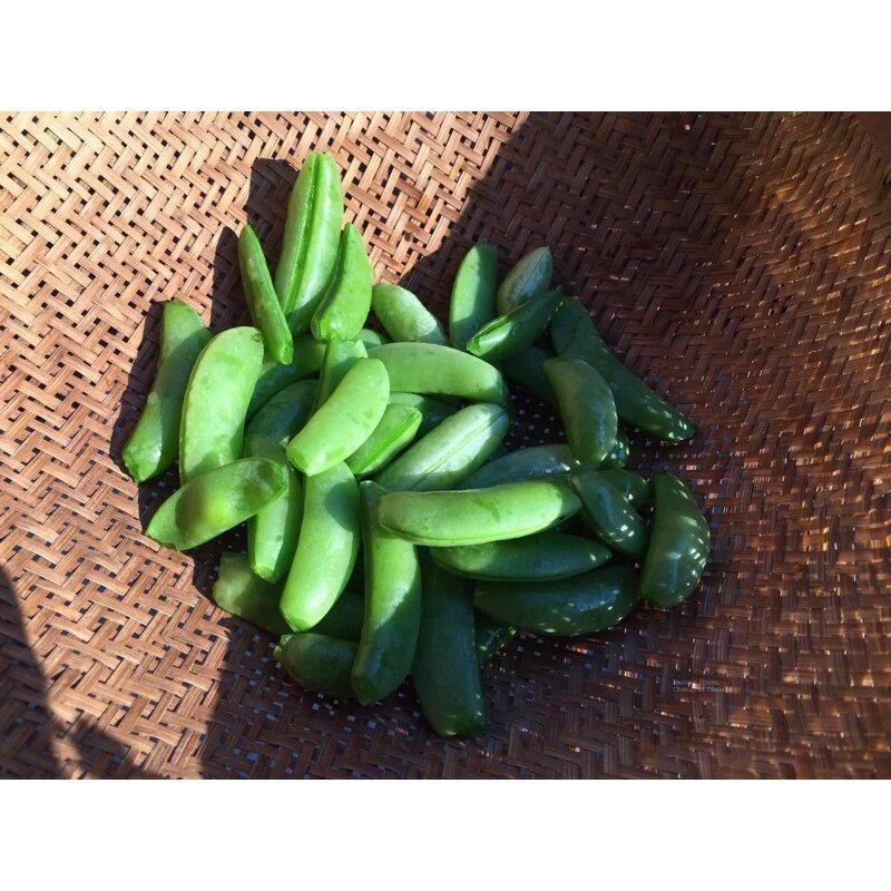 ถั่วลันเตาหวาน เมล็ดพันธุ์ 9-20 เมล็ด มีคู่มือปลูก ทนร้อนพอสมควร ปลูกได้หลายฤดูกาล เก็บเกี่ยว 60–70 วัน (10แถม1) - รูปที่ 4