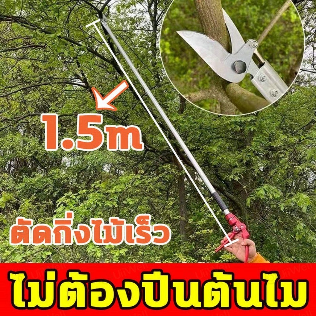 วัสดุสแตนเลส กรรไกรตัดผลไม้ ตัดกิ่งไม้เร็ว ประหยัดแรงงาน อุปกรณ์ตัดแต่งกิ่งมืออาชีพ กรรไกรตัดกิ่งด้ามยาว กรรไกรตัดกิ่งไม