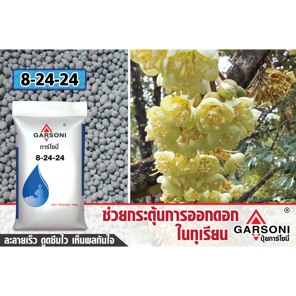 ปุ๋ย 8-24-24 การ์โซนี่ ขนาด 1kg (แบ่งขาย) สะสมตาดอก ออกดอกดก ละลายเร็ว เม็ดสีฟ้า การ์โซนี่