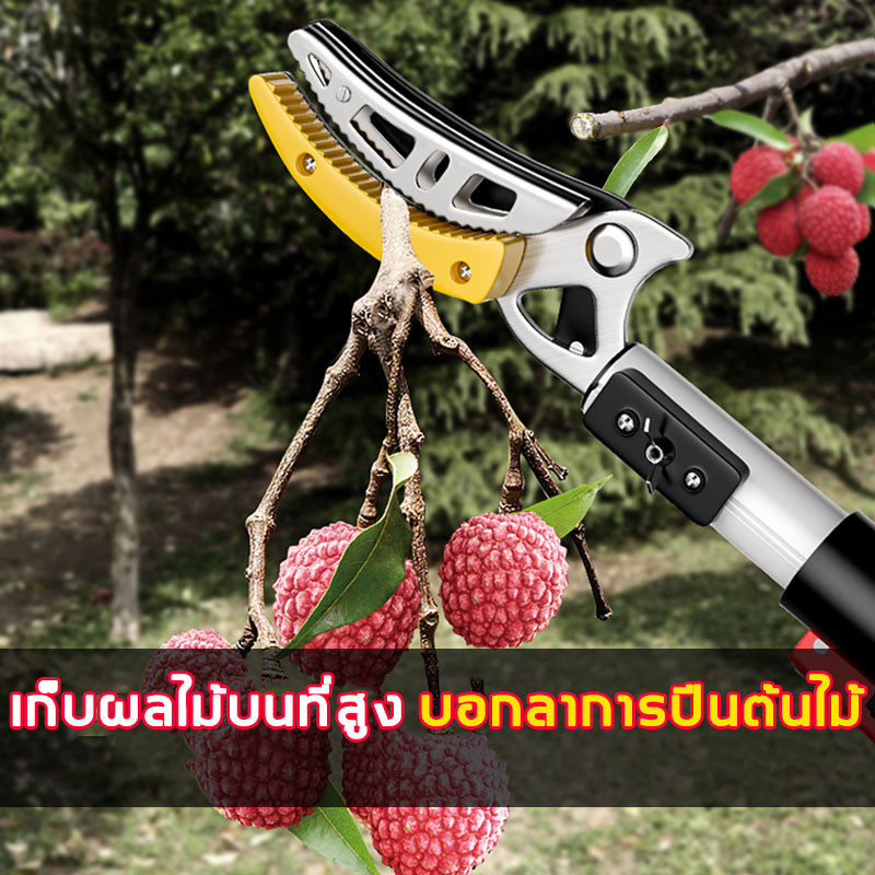 กรรไกรตัดกิ่ง ยืดไสลด์ 2.3M-4M ตัดกิ่งไม้เร็ว อุปกรณ์ตัดแต่งกิ่งมืออาชีพ กรรไกรตัดกิ่งด้ามยาว กรรไกรตัดกิ่งไม้ - รูปที่ 2