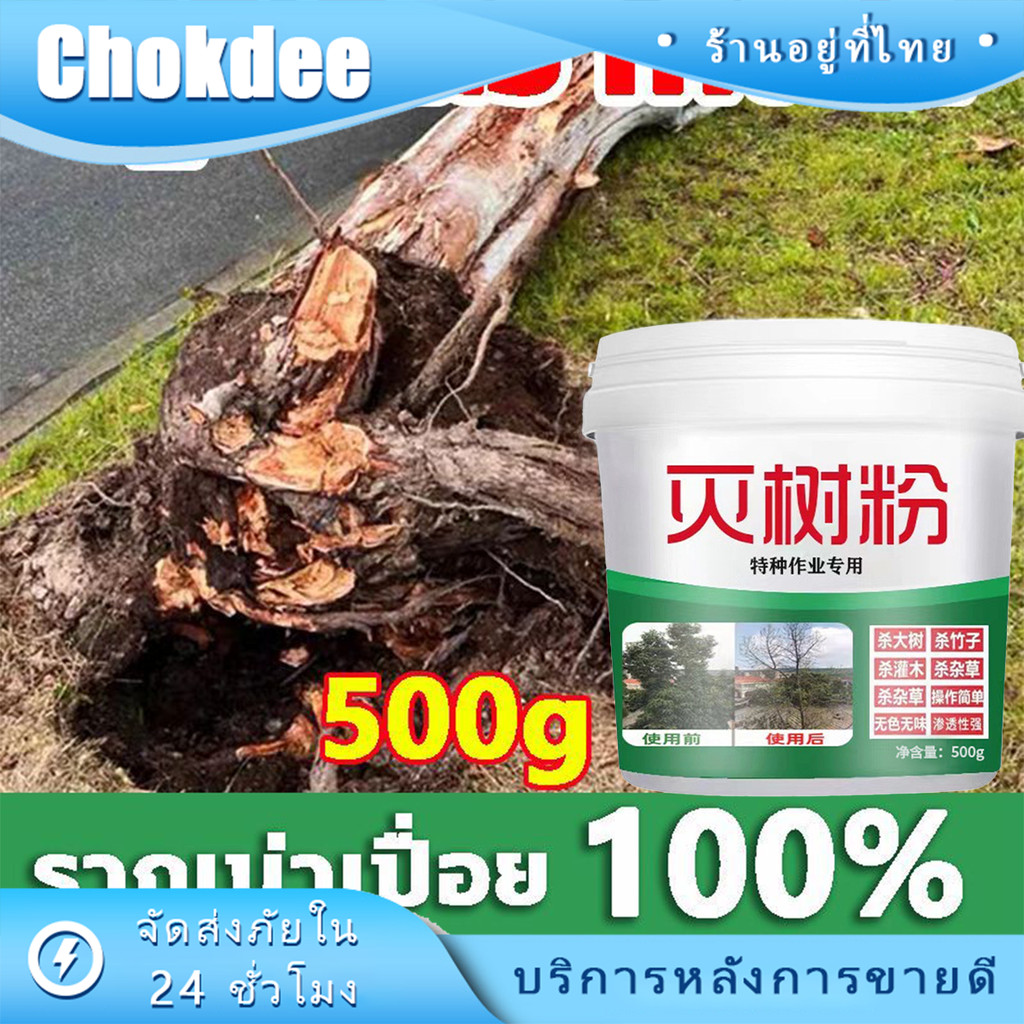 ร้านคนไทย! 500g ยาฆ่าตอต้นไม้ใหญ่ ผงกำจัดกอไผ่ วัชพืช ทุกชนิด เข้มข้นมาก ตามถึงราก